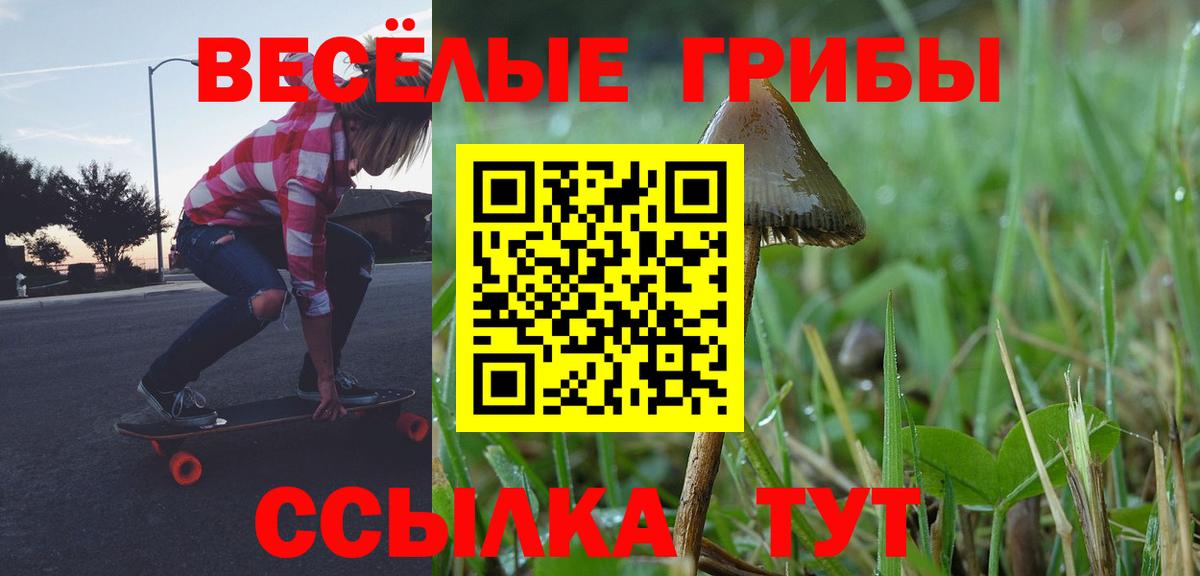 Псилоцибиновые грибы GOLDEN TEACHER Кириши